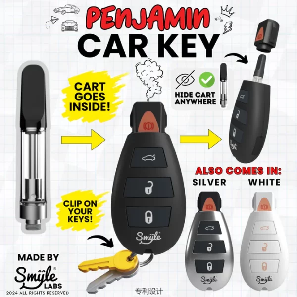 Batería Pen Llave de Auto